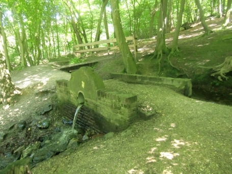 Mook en Middelaar NL : Sint Maartensweg, Plasmolen, der Sint-Jansberg ist ein Naturschutzgebiet und verbindet die Mookerheide mit dem deutschen Reichswald ( Kleve )